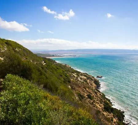 Turquesa * Barbate