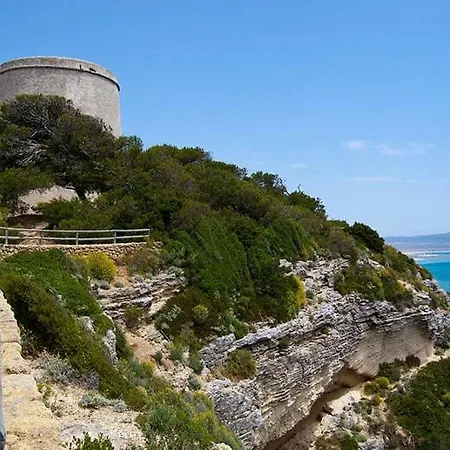 Turquesa * Barbate