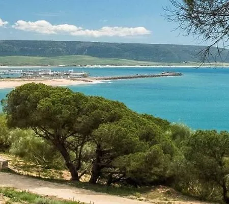 Turquesa * Barbate